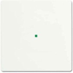 Busch-Jaeger simple Cache free@home blanc, blanc signalisation 2CKA006220A0481 1 pc(s)