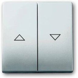 Busch-Jaeger Cache Interrupteur pour stores acier inoxydable 2CKA001751A2964 1 pc(s)