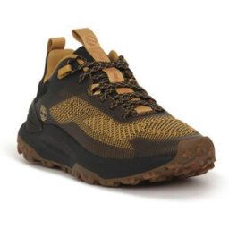 Chaussures Timberland ENP MOTION ACCES WHEAT Marron
