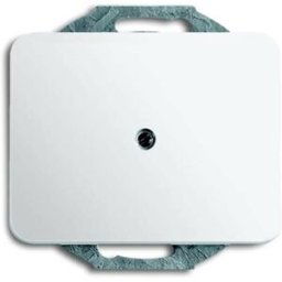 Busch-Jaeger Cache blanc, blanc signalisation 2CKA001710A1209 1 pc(s)