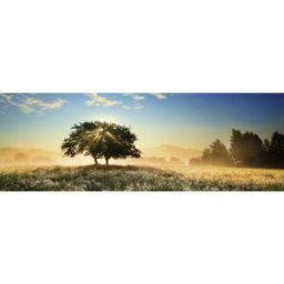 Heye Play of Light