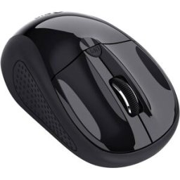 Trust BASICS Souris radio optique noir 4 Boutons 1600 dpi molette intégrée