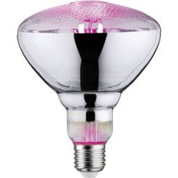 Paulmann Lampe pour plantes à LED, croissance 230 V E27 6.5 W ambré 1 pc(s)