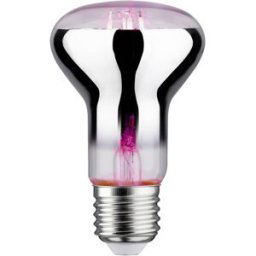 Paulmann Lampe pour plantes à LED, croissance 230 V E27 6.5 W ambré 1 pc(s)