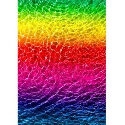 Enjoy Puzzle Arc-en-Ciel Immergé