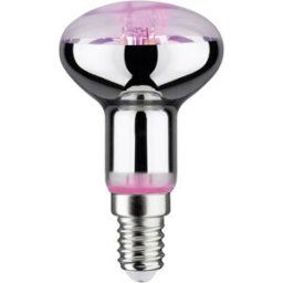 Paulmann Lampe pour plantes à LED, croissance 230 V E14 4 W ambré 1 pc(s)