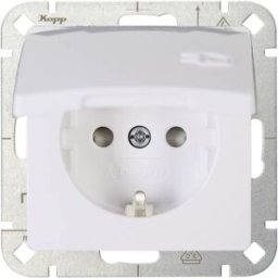 Kopp simple Insert Prise 2P+T avec clapet HK05 blanc arctique 920802008 1 pc(s)