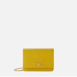 Sac Elisabetta Franchi BS11A51E2-DC6 multicolor