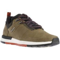 Chaussures Timberland Field Trekker Multicolore