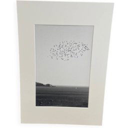 ART L envol noir 50x2x70