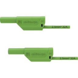 Schützinger VSFK 8700 / 2.5 / 100 / GN Cordon de mesure de sécurité mâle 4 mm mâle 4 mm 100.00 cm vert 1 pc(s)