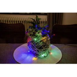 Micro guirlande lumineuse pour lintérieur Konstsmide 6350-520 LED N/A 1 pc(s)
