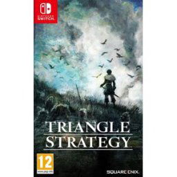 PRODUITS RECYCLES Triangle Strategy SWITCH