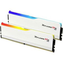 G.Skill F5-6000J3636F16GX2-RM5RW Module mémoire pour PC DDR5 32 GB 2 x 16 GB 6000 MHz DIMM 288 broches F5-6000J3636F16GX2-RM5RW