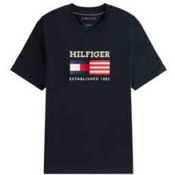 Tommy Hilfiger T-shirt en coton Bleu L Male