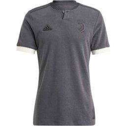 Adidas Juventus Lifestyler Third Shirt 2023 2024 Adults Gris L Male
