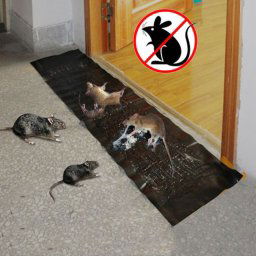 2 souris de souris de piège de rat de rongeur de colle de souris de rongeur tueur longueur: 1.2m