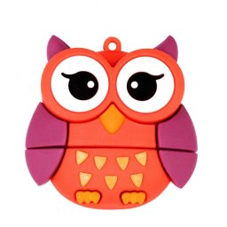 MicroDrive 4 Go USB 2.0 Creative Cute Owl U Disk