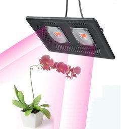 Lumière de plante LED ultra-mince 100W, lumière de croissance COB à spectre complet, lumière de remplissage de serre de légumes, de fruits et de fleurs sans prise