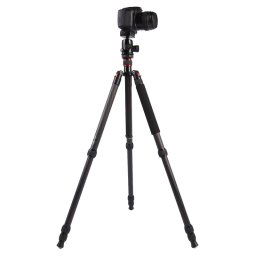 Triopo GT-2804X8.C Trépied Portable Réglable en Fibre de Carbone (Or) avec Rotule B-2 en Aluminium (Noir) pour Canon Nikon Sony DSLR