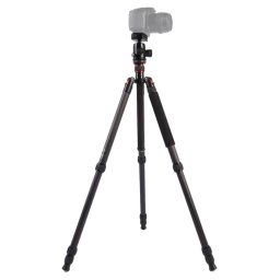 Trépied Portable ajustable en fibre de carbone Triopo GT-2804X8.C avec rotule en aluminium B-2 pour appareil photo Canon Nikon Sony DSLR (noir)