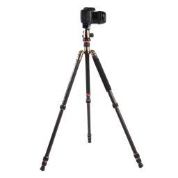 Triopo GT-2504X8.C Trépied Portable Réglable en Fibre de Carbone (Or) avec Rotule B-1 en Aluminium (Noir) pour Canon Nikon Sony DSLR