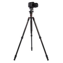 Trépied Portable ajustable en fibre de carbone Triopo GT-2504X8.C avec rotule en aluminium B-1 pour appareil photo Canon Nikon Sony DSLR (noir)
