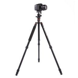 Trépied en aluminium portable réglable Triopo MT-2504C avec rotule NB-1S pour appareil photo Canon Nikon Sony DSLR (Noir)