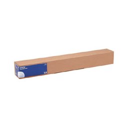 Epson papier photo brillant 250g 61 cm (24 ) x 30,5 m S 041893