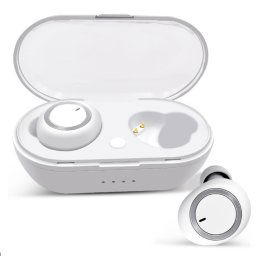TWS-A1 TWS Bluetooth 5.0 Mini écouteur de musique de sport invisible avec boîtier de chargement et microphone (blanc)