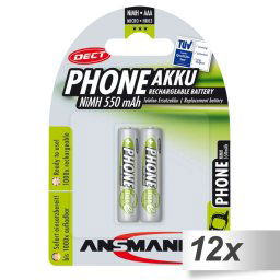 12x2 Ansmann maxE NiMH piles Micro AAA 550 mAh DECT PHONE