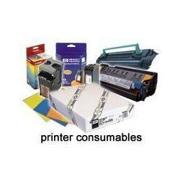 Epson Ultrasmooth Fineart papier 61 cm x 15 m 250 g S 041782