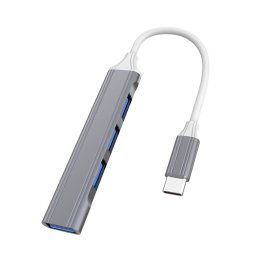 2 PCS Acositement élargi multifonctionnel, SPEC: Type-C / USB-C 3.0 (gris)