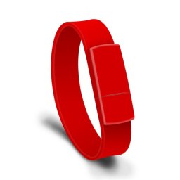 MicroDrive 8 Go USB 2.0 Bracelet Mode Bracelet U Disque (Rouge)