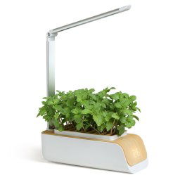 H003 Intelligent Hydroponic Produtables Plantation Machine à spectre Plein-Spectrum Lampe de croissance de la plante Sol-Culture de terre Pot de fleurs de légumes (graphique de la machine de plantation hydroponique