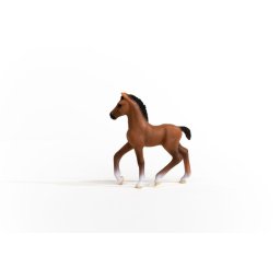 Schleich Club hippique 13947 Poulain Oldenbourg