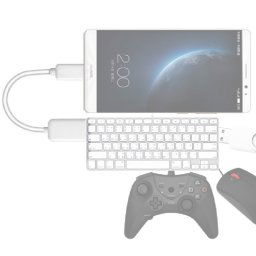 Câble adaptateur USB 2.0 AF vers Micro USB 5 broches mâle de haute qualité avec fonction OTG, Câble adaptateur USB 2.0 AF vers micro USB 5 broches mâle de haute qualité avec fonction OTG, longueur : 15 cm (blanc)