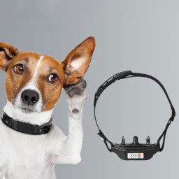 Collier de dressage pour chien avec dispositif anti-aboiement intelligent, style : vibration + son (noir)
