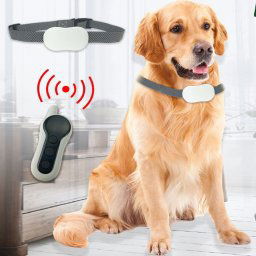 Dispositif de dressage de chien télécommandé Bark Stopper Collier rechargeable Entraîneur de vibrations de choc électrique étanche, spécification: un pour un