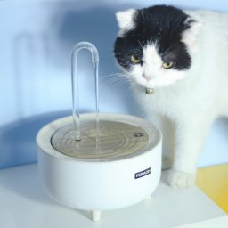 346578 Filtre de circulation automatique pour animaux de compagnie Cat Flowing Drinking Fundation, Spec: Interface USB (Robinet en cristal)