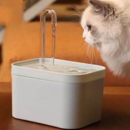 Fontaine à boire à flux de circulation automatique Cat USB anti-séchage (transparent)