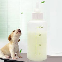 Ensemble de biberons pour animaux de compagnie, biberon pour chiot, chaton, chat, plusieurs sucettes avec brosse à biberon, 60ml x 1