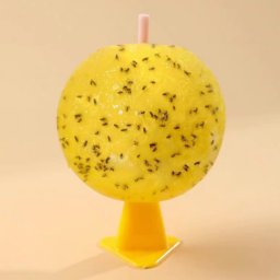Boule collante anti-mouches à fruits d'intérieur de 8 cm avec noyau attractif pour insectes