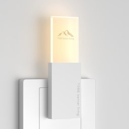 Lampe murale intelligente veilleuses Mini maison anti-insectes répulsif de souris (blanc)