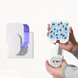 Piège à mouches rechargeable enfichable pour mouches, mites, moucherons et autres insectes volants avec 2 cartes de colle prise ue (blanc)
