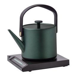 Unold 18217 bouilloire éclair Jade
