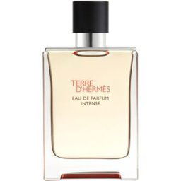 HERMÈS Terre d’Hermès Eau de Parfum Intense eau de parfum intense pour homme 100 ml
