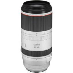 Canon Rf 100-500/4.5-7.1 L Is Usm