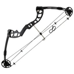 Arc composite à poulies 40-55 lbs