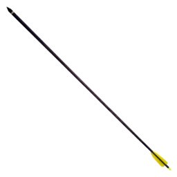 Pour Arc - Lot de 5 flèches carbone EK Archery 30 pouces